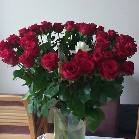 Rene's Bed and Breakfast Kerkrade