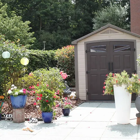 Rene's 4* كيركراد