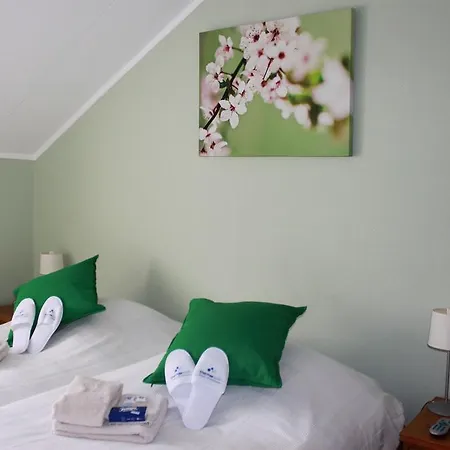 Rene's Bed and breakfast