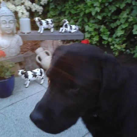 Bed and Breakfast Rene's