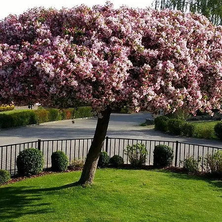 Rene's Panzió Kerkrade