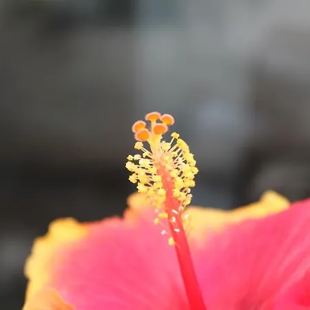 Rene's Bed & Breakfast Kerkrade