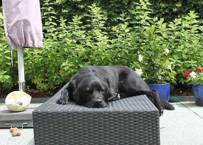 Rene's Alojamento de Acomodação e Pequeno-almoço