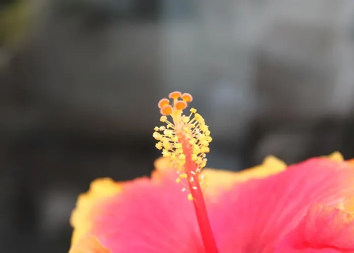 Rene's Alojamento de Acomodação e Pequeno-almoço Kerkrade