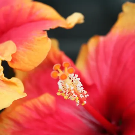 Rene's Bed and Breakfast Kerkrade