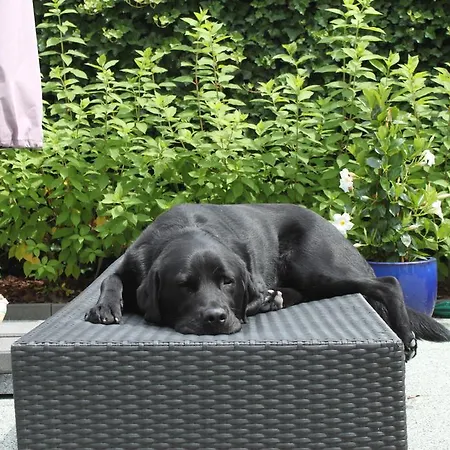 Rene's Bed and Breakfast