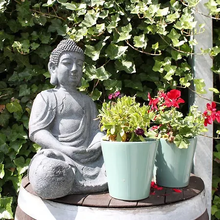 Rene's Bed and Breakfast 4*