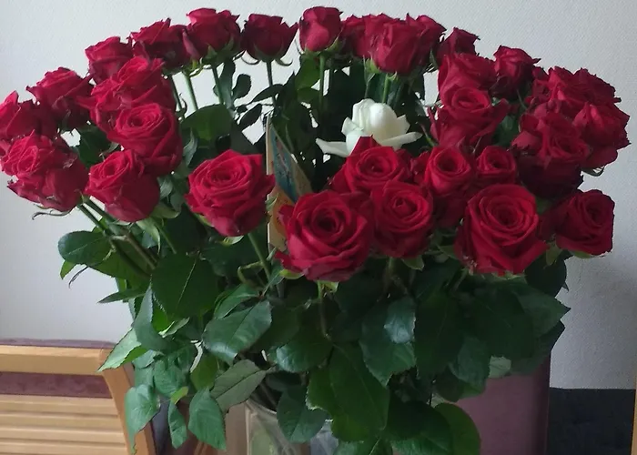 Rene's Bed & Breakfast Kerkrade