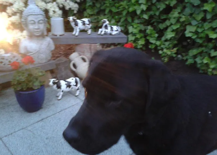 Bed & Breakfast Rene's