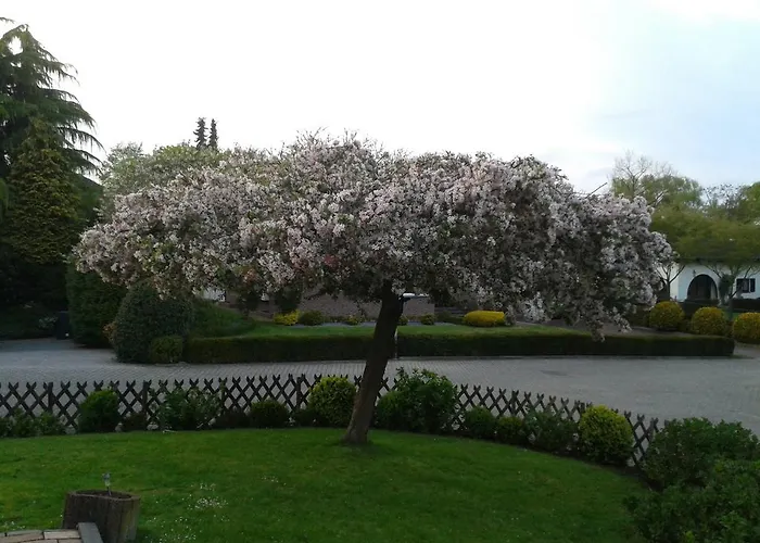 Bed & Breakfast Rene's Kerkrade